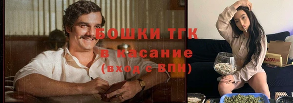 крисы Арсеньев