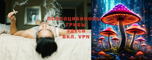 крисы Арсеньев