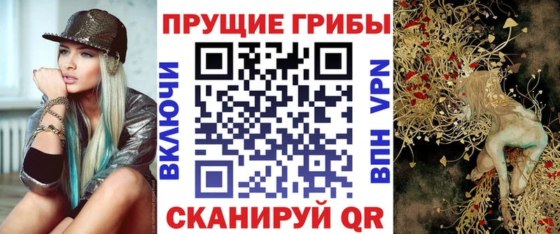 Купить закладки  Суровикино  Псилоцибиновые грибы MAGIC MUSHROOMS 