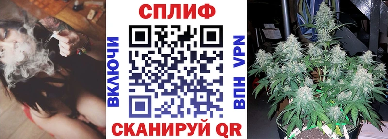 Конопля Amnesia  Купить закладки  Суровикино 